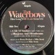 The Waterboys - How Long Will I Love You 2021 - Maxi Vinyl 12 inches - Record Store Day - New Wave