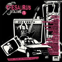 Thesaurus Volume N°2 Rock - Punk En France 1977 / 1979 - Double LP  Vinyl Album -  Punk Rock