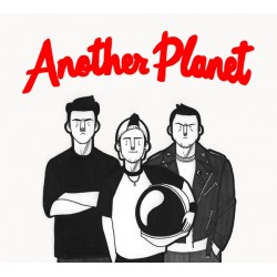 The Ferrets - Another Planet - LP Vinyl Album - Punk Rock