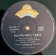 David Hallyday - Tears Of The Earth - Maxi Vinyl 12 inches Single - Vocal Pop