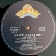David Hallyday - Tears Of The Earth - Maxi Vinyl 12 inches Single - Vocal Pop