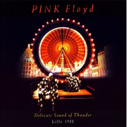 Pink Floyd - Delicate Sound Of Thunder Lille 1988 - Double CD Album - Psychedelic Rock