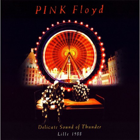 Pink Floyd - Delicate Sound Of Thunder Lille 1988 - Double CD Album - Psychedelic Rock