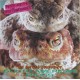 Peter And The Test Tube Babies - The Mating Sounds Of South American Frogs - LP Vinyl Album - Punk Oi