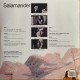 Salamander -The Ten Commandments - LP Vinyl Album - Progressive Rock