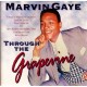 Marvin Gaye - Through The Grapevine - CD Album Cardsleeve - Soul Music