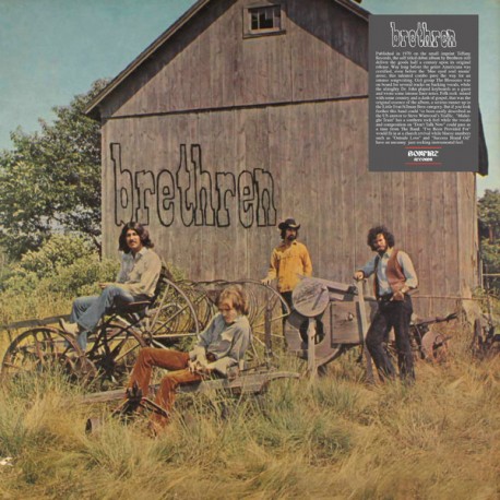 Brethren - LP Vinyl Album - Brethren - Blues Folk Rock