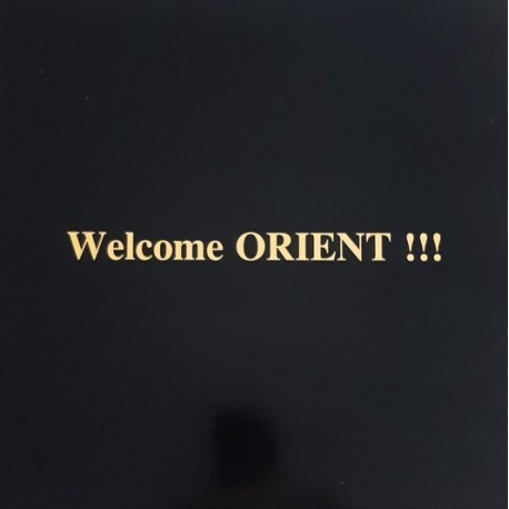 Shakira - Welcome Orient !!! - Maxi Vinyl 12 inches - Remix Dj Neesty - Oriental Eurohouse
