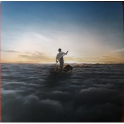 Pink Floyd - The Endless River - Double LP Vinyl Album - Ambient Progressive Rock