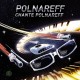 Michel Polnareff - Polnareff chante Polnareff - Maxi Vinyl 12 inches - Coloured - Record Store Day 2023 - Chanson Française