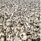 George Michael - Listen Without Prejudice Vol. 1 - LP Vinyl Album - Synth Pop