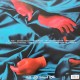 Not Scientists - Staring At The Sun - LP Vinyl Album - Post Punk Rock