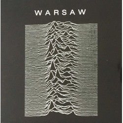 Warsaw ( Joy Division ) - Warsaw - LP Vinyl Album - Post Punk New Wave