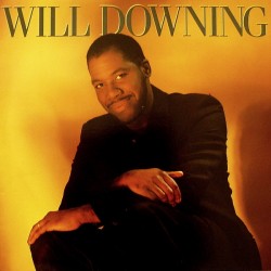 Will Downing - In My Dreams - LP Vinyl Album - Funk Soul