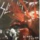 Slayer - Bleed For Me - LP Vinyl Album - Gatefold - Thrash Metal