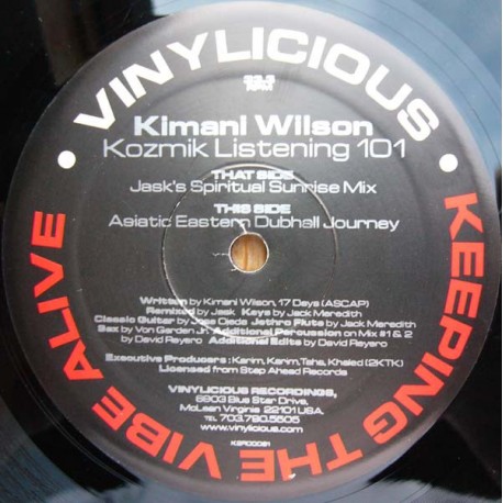 Kimani Wilson ‎- Kozmik Listening 101 - Maxi Vinyl 12 inches - House Music