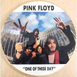 Pink Floyd - One Of These Day - LP Viny Album Picture Disc - 1994 Italy - Psychedelic Rock