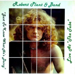 Robert Plant - Just To Know What He's Doing - LP Vinyl Album - 1983 Europe - Blues Rock