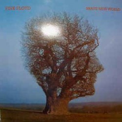 Pink Floyd - Brave New World - LP Vinyl Album - UK 2010 Pink Colour - Psychedelic Rock