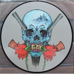 Metallica - Evil Never Dies - LP Vinyl Album - Picture Disc - 1994 Germany - Heavy Metal