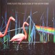 Pink Floyd - The Dark Side Of The Moon Demo - LP Vinyl Album - Coloured Green Marbled - 2021 Europe - Psychedelic Rock