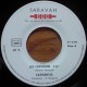 Catharsis - Les Chevrons / Solstice - Vinyl 7 inches - 1972 France - Progressive Rock