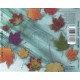 Deep Forest - Boheme - CD Album - 1995 France - Ambient Downtempo