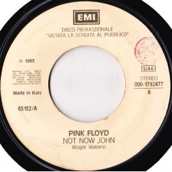 Pink Floyd / Bobby Solo - Not Now John / Straniero - Vinyl 7 inches - 1983 Italy - Promo - Pop Rock