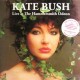 Kate Bush - Live at The Hammersmith Odeon - LP Vinyl Album - UK 2023 - Pop Rock