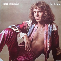 Peter Frampton - I'm In You - LP Vinyl Album - 1977 France - Pop Rock Music