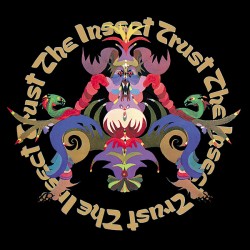 The Insect Trust - The Skin Game - LP Vinyl Album - 2024 Europe - Psychedelic Rock
