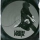 Linkin Park - What I've Done - Vinyl 7 inches - Picture Disc - UK 2007 - Nu Metal