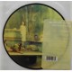 Red Hot Chili Peppers - Desecration Smile - Vinyl 7 inches - Picture Disc Edition - 2007 UK - Alternative Rock