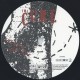 The Cure - The Only One - Vinyl 7 inches - 2008 Europe - New Wave Rock
