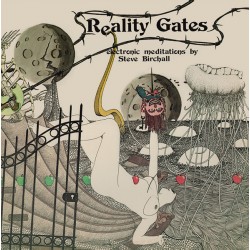 Steve Birchall - Reality Gates - LP¨Vinyl Album - Record Store Day 2023 - Experimental Electronic