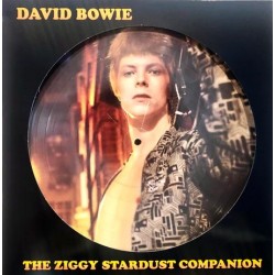 David Bowie - The Ziggy Stardust Companion - LP Vinyl Album - Picture Disc - UK 2021 - Glam Rock