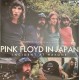 Pink Floyd ‎– Pink Floyd In Japan - Incident At Hakone - Coloured Green - Double LP Vinyl