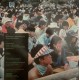 Pink Floyd ‎– Pink Floyd In Japan - Incident At Hakone - Coloured Green - Double LP Vinyl