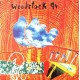 Woodstock 94 - LP Vinyl Album - Compilation - Europe - Rock Music
