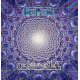 Tool - Untoold - Double LP Vinyl Album - 2024 Europe - Alternative Metal