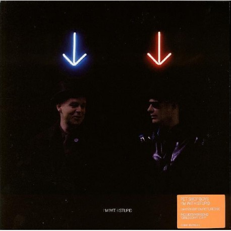 Pet Shop Boys - I'm With Stupid - Vinyl 7 inches Picture Disc - UK 2006 - Synth Pop