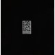 The Black Keys - Let's Rock - Double LP Vinyl Album - Record Store Day 2020 - Indie Rock