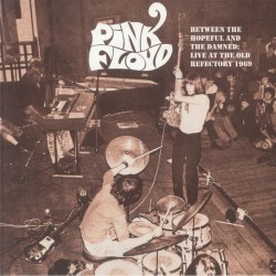 Pink Floyd - Between The Hopeful & The Damned - LP Vinyl Album - 2025 Europe - Psychedelic Rock