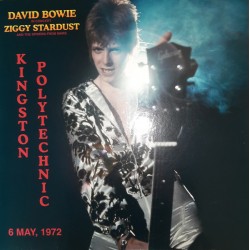David Bowie In Concert Ziggy Stardust And The Spiders From Mars - Kingston Polytechnic - Double LP Vinyl Album  - Glam Rock