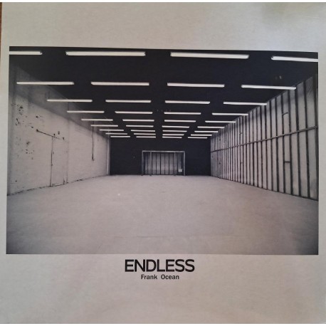 Vinyl Frank Ocean Endless album LP Hip Hop US Soul Music 2025 Europe