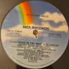 Stephanie Mills - Something In The Way - Maxi Vinyl 12 inches - USA 1989 - Maxi Funk Music