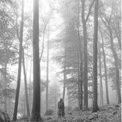 Taylor Swift - Folklore - Double LP Vinyl Album - 2020 Europe - Coloured Beige - Deluxe Edition - Country Pop