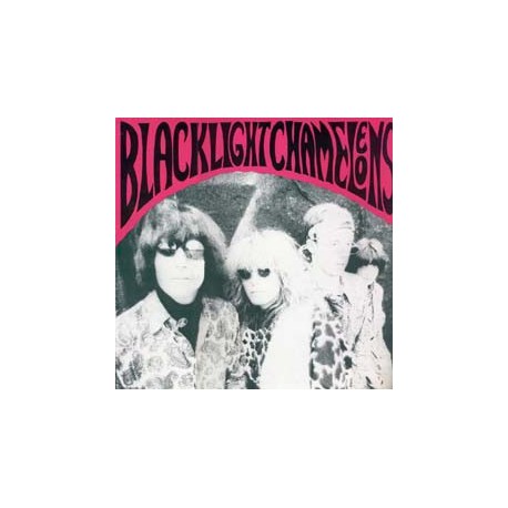 Blacklight Chameleons - Door - 1st LP