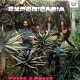 Experiencia ‎– Passo A Passo - LP Vinyl
