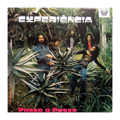 Experiencia ‎– Passo A Passo - LP Vinyl